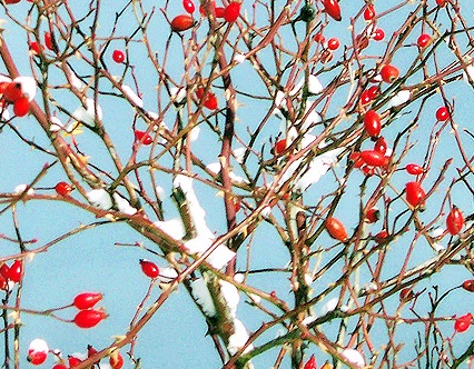 Bandos y plenos del ayuntamiento de El Rasillo de Cameros, en La Rioja